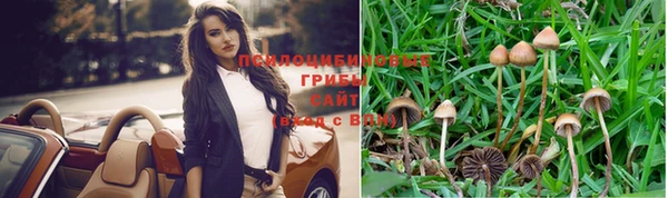а пвп мука Алзамай