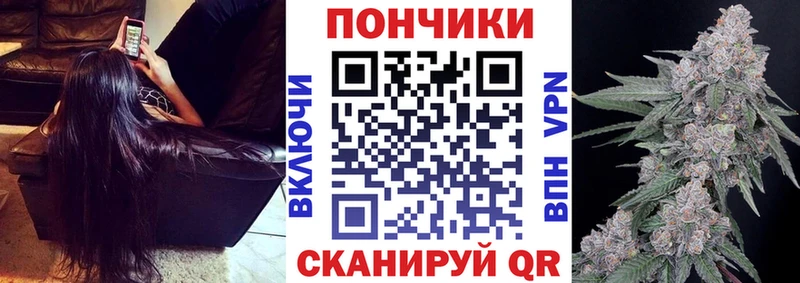 мориарти какой сайт  Петровск  Канабис индика 